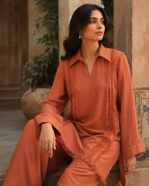 Aiza Rust Georgette Everyday Suit — Rust Pakistani luxury pret suit by Veera Studio, view 2